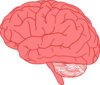 neuroscientificallychallenged.com-logo