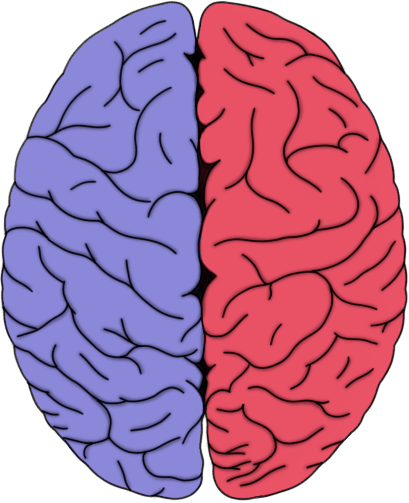 reward part of the brain ventral tegmental area