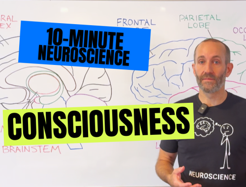 10-Minute Neuroscience: Consciousness
