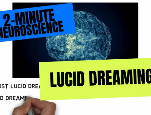 2-Minute Neuroscience: Lucid Dreaming