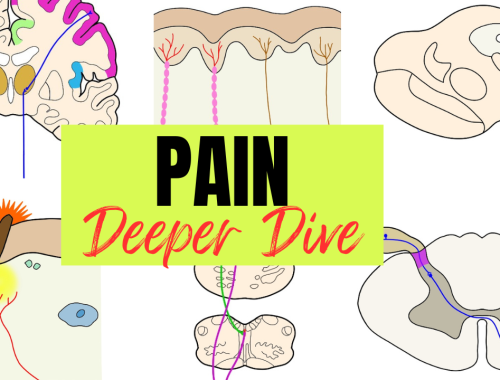 Pain - Deeper Dive