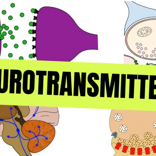 Neurotransmitters 1 