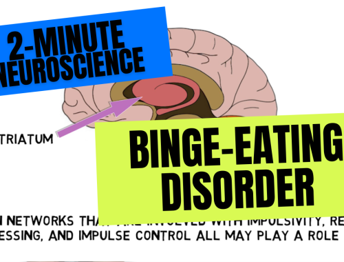 2-Minute Neuroscience: Binge-Eating Disorder