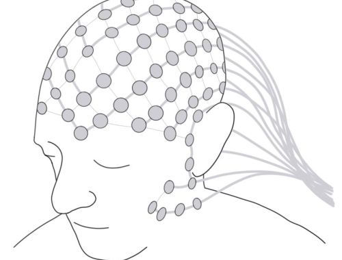 2-Minute Neuroscience: Electroencephalography (EEG)
