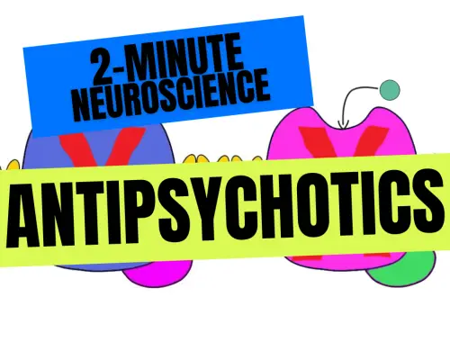 2-Minute Neuroscience: Antipsychotics