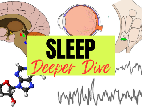 Sleep - Deeper Dive