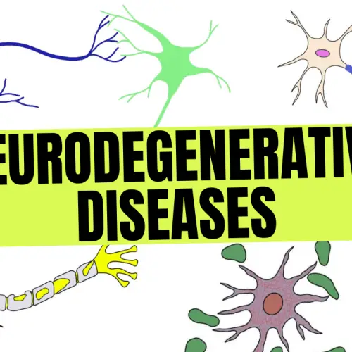 Neurotransmitters 2 