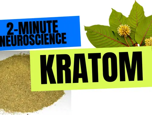 2-Minute Neuroscience: Kratom