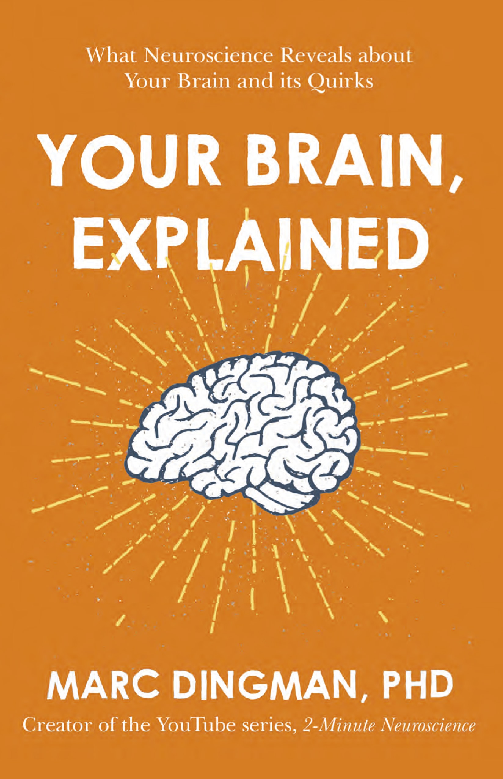 Your Brain Explained.jpg