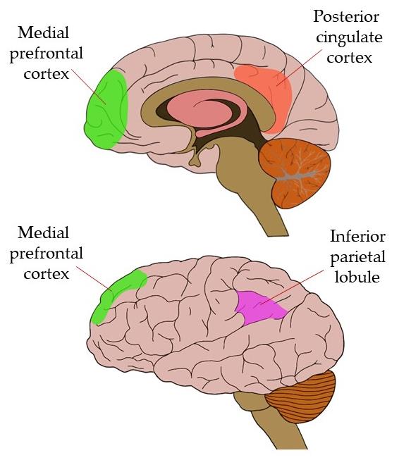 Video activation of prefrontal cortex in a consuming person during