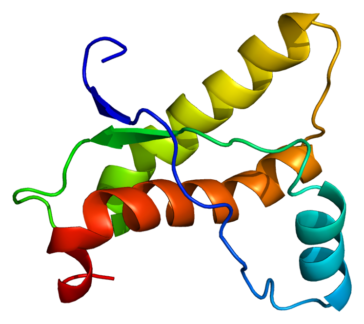 A healthy prion protein (not in a misfolded state). Credit: Emw from Wikimedia Commons.