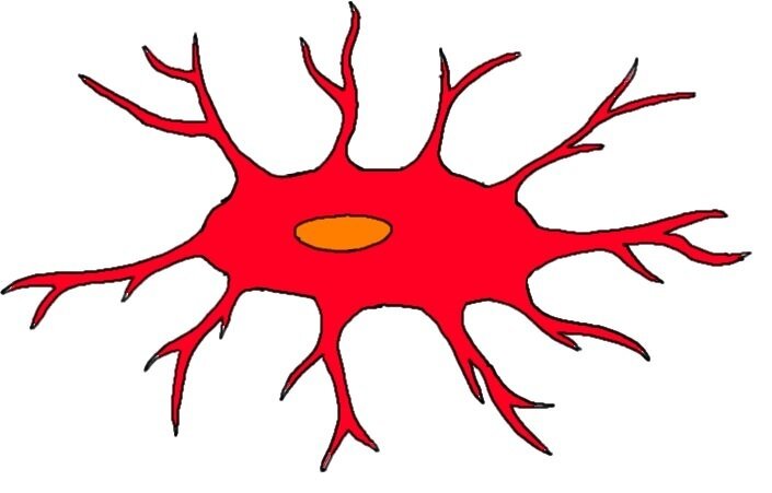 MICROGLIAL CELL.