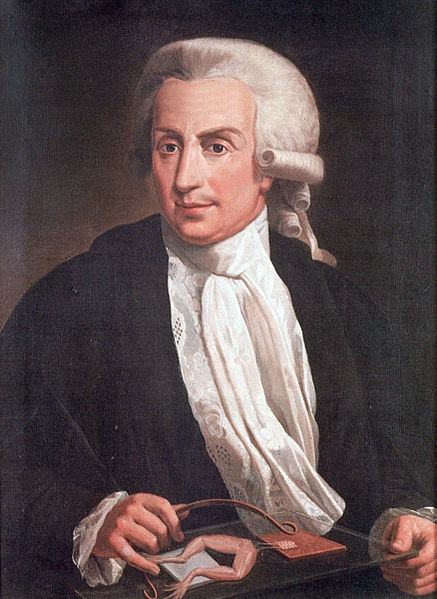 437px luigi galvani oil painting