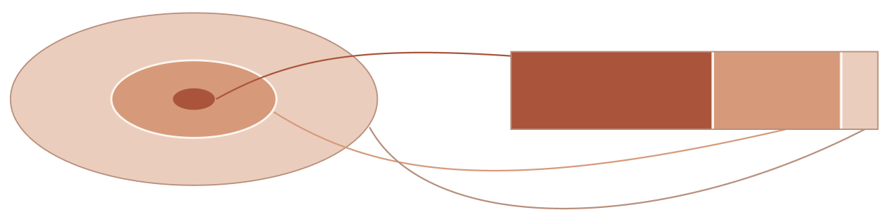 Rings of the visual field, from the center outward, matched to a band of the visual cortex: the small center of view takes about half of the band.